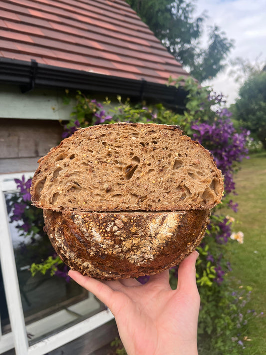 Malted multi-seed sourdough